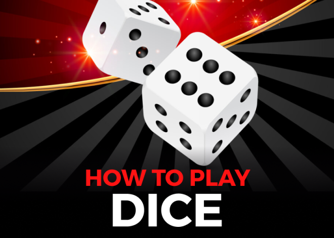 How to Play Dice Game: Rules & Tips for Beginners