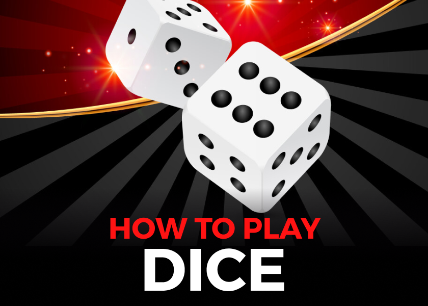 How to Play Dice Game: Rules & Tips for Beginners